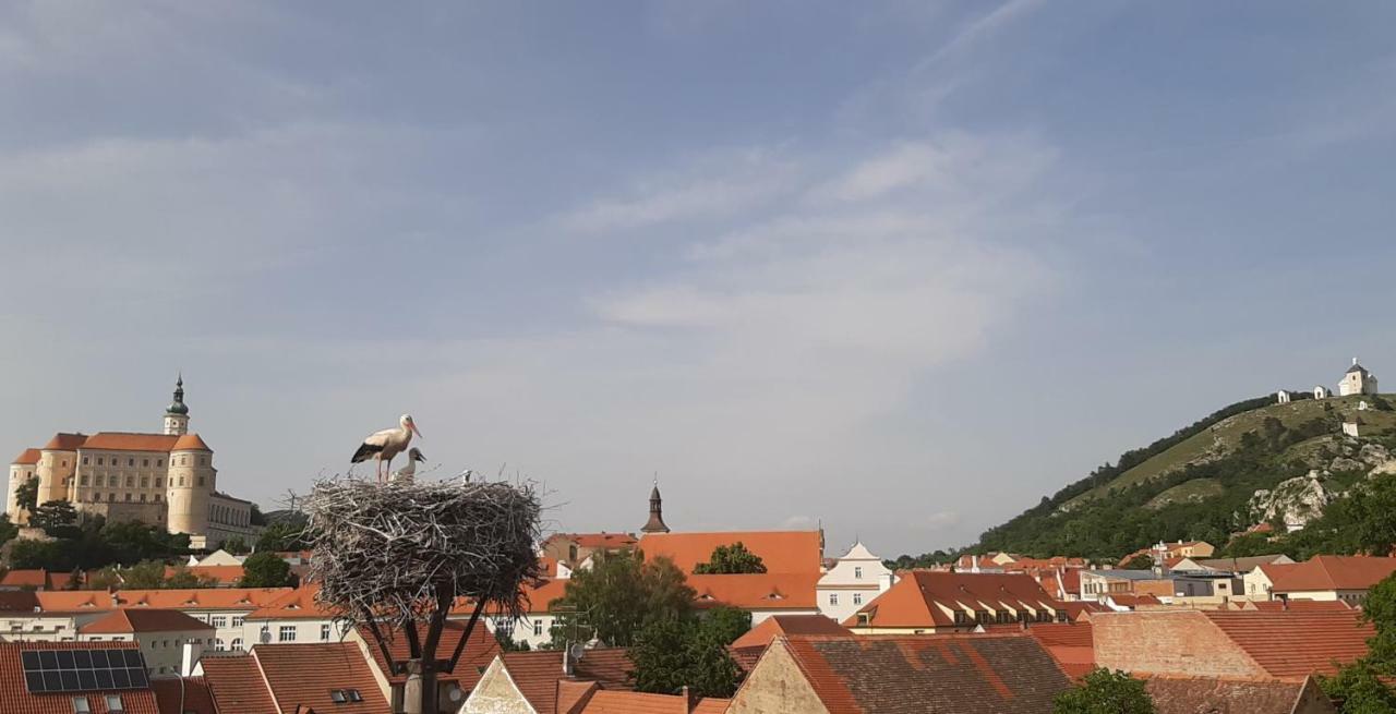 Penzion Cap Mikulov Extérieur photo