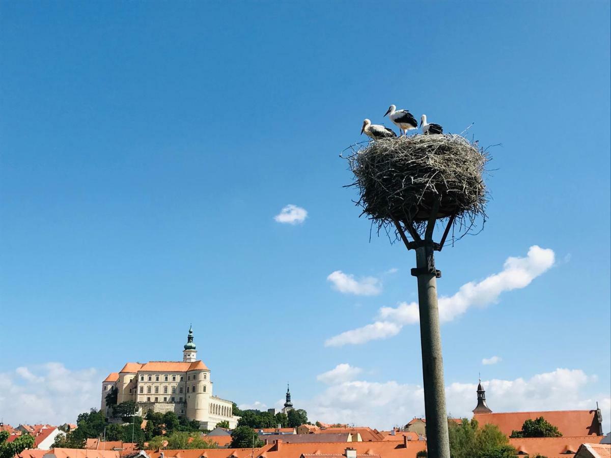 Penzion Cap Mikulov Extérieur photo